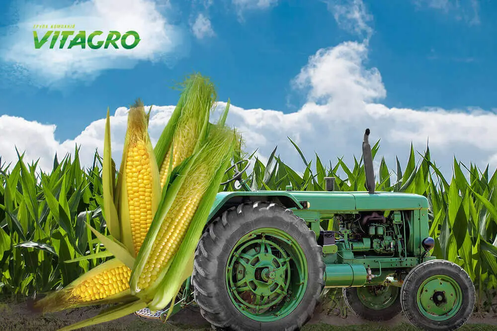 Закупки сельхозпредприятий и агрохолдингов: наш клиент VITAGRO.