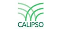 Calipso Invest Corp.