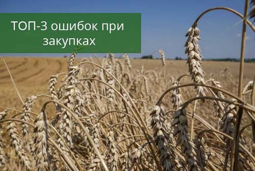 Як уникнути помилок у закупівлях та як ефективні закупівлі дозволяють пережити кризу